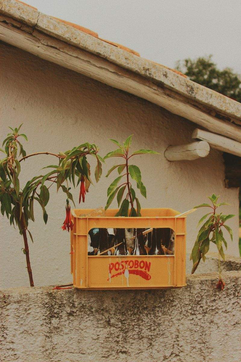 UpcycleMeister GmbH - Image 7